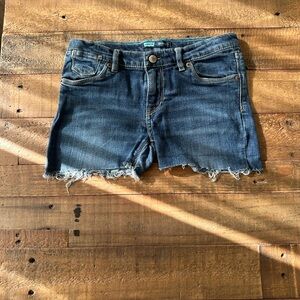 Levi's Blue Frayed Denim Shorts
